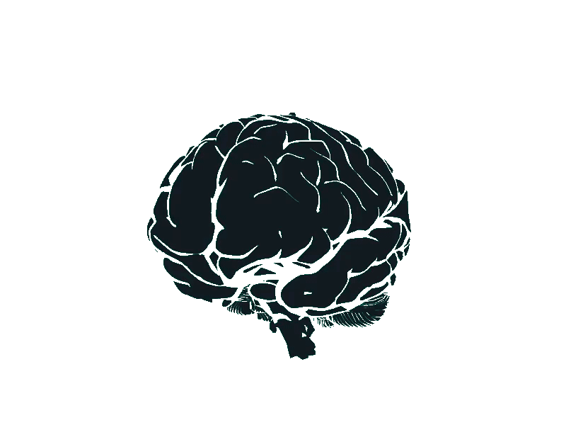 Animated illustration of a human brain